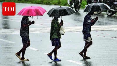Southwest monsoon arrives in Kerala; IMD warns of below-normal rainfall this season