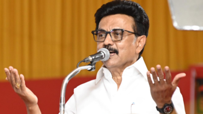 'Elections could be anytime. So be prepared': MK Stalin asks DMK cadres to stay poll-ready