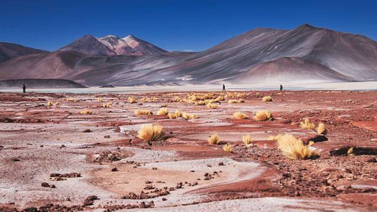 The Atacama Desert