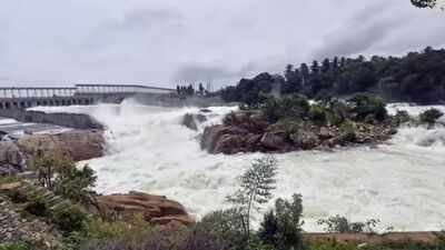 'Not at all acceptable': Tamil Nadu assembly passes resolution against Karnataka’s Mekedatu dam project