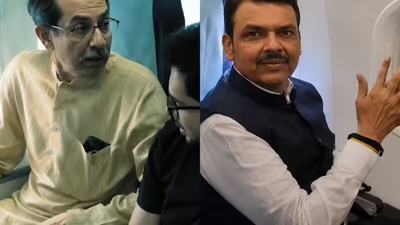 'He is very clever, knows ... ': What Eknath Shinde said on Uddhav-Fadnavis flight