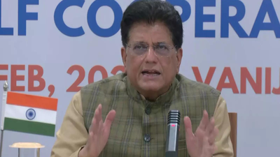 File photo Countries protecting domestic industries, India no exception: Piyush Goyal on global trade
