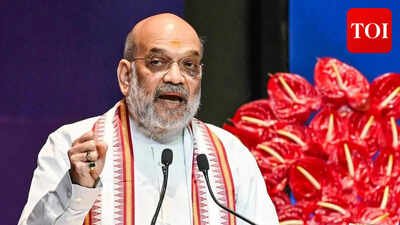 File photo Amarnath Yatra: Amit Shah orders multi-layered security, pushes tech-driven pilgrim safety