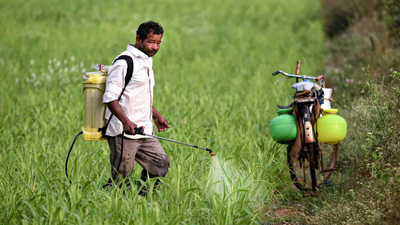 File photo 'It takes time to restart plants': Hormuz reopening may not ease fertiliser woes anytime soon, say industry executives