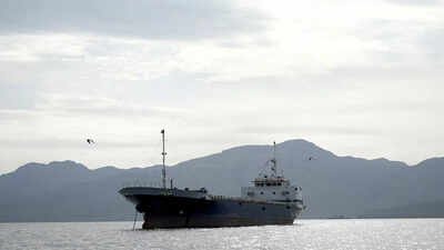 ANI photo (File) Rescued 14 Indians from sinking dhow, says US