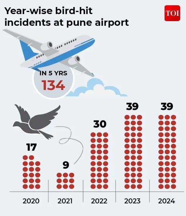 Year-wise bird-hit incidents