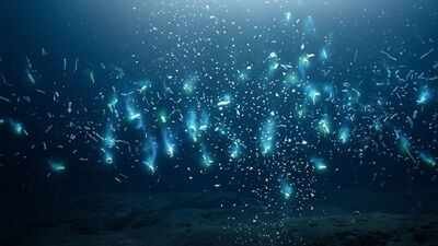 Scientists say crushing deep-ocean pressure squeezes hidden nutrients out of sinking marine snow, feeding microbes and changing what we know about Earth’s carbon cycle (Representational AI image) Scientists say crushing deep-ocean pressure squeezes hidden nutrients out of sinking marine snow, feeding microbes and changing what we know about Earth’s carbon cycle