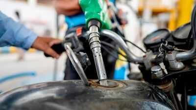 Representative image (Image: AP) Govt debunks E20 ethanol blending 'myths'; rejects viral claim on water use, engine damage
