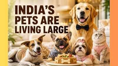From Kibble to Crores: Inside India's ₹2.1 Lakh Crore Pet Economy From Kibble to Crores: Inside India's ₹2.1 Lakh Crore Pet Economy