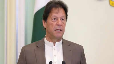 . 'Extreme brutality': Pakistan's PTI to launch nationwide protests for Imran Khan's release