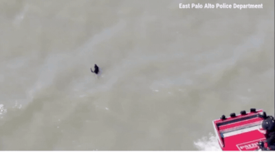 Video credit: Fox news Watch: US firefighters rescue dog that went missing after July 4th fireworks
