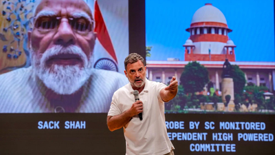 'Student, Idiot, Andhbhakt': Rahul Gandhi's '3 Categories' Remark Sparks Row In Lok Sabha