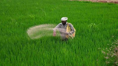 15 India-bound ships carrying urea, DAP and sulphur cross Hormuz: Govt