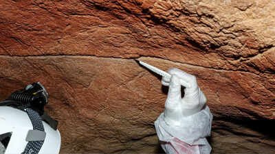 Scientists collected samples from 11 caves in Spain and Portugal (Credits: Alberto Martínez Villa) For the first time, scientists have recovered ancient DNA left behind on cave walls and rock art, opening a new way to study the people who made prehistoric art thousands of years ago