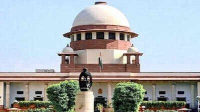 Supreme Court SC: Even a snail can question pace of trials