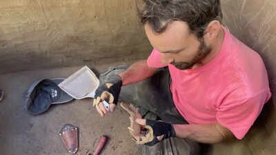 Humans Fed Salmon to Canines 12,000 Years Ago, Study Suggests, Hinting at the Origin of Our Relationship With Dogs Scientists find that humans and dogs have such a friendly relationship because early ancestors fed salmon to canines 12,000 years ago