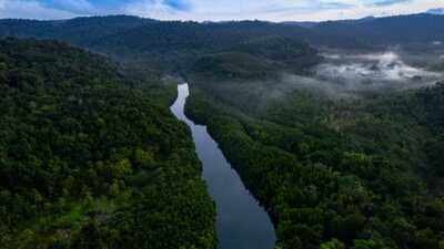 Rising heat leaves 57 million hectares of tropical forests unable to photosynthesise efficiently: Study