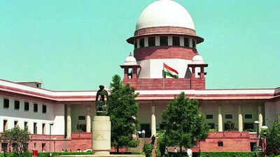 <strong>No doctor would refuse treatment to brutally sexually assaulted child: Supreme Court</strong>