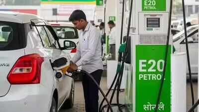 'E20 petrol may cut mileage by up to 5%, but doesn't damage engines': Govt tells Parliament