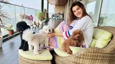 Inside Kriti Sanon's duplex sea-facing penthouse worth Rs 78 crore, which has a clubhouse, yoga desk, swimming pool and more