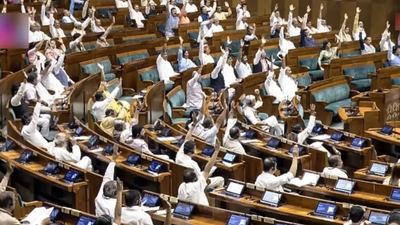 'Clock it', 'delulu': How Gen Z lingo took over Parliament during anti-paper leak Bill debate