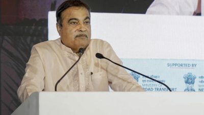 E20 petrol may harm BS-III vehicle rubber parts, says Nitin Gadkari