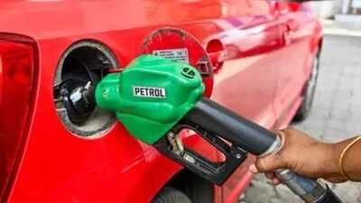 'No abnormal wear & tear': Centre reiterates E20 safe for vehicles