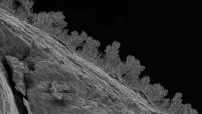 A research team led by University of Michigan isolated and grew more than 200 kinds of fungi from the deep subsurface (Credit: Quinn Moon University of Michigan) Scientists drilled 1,640 feet beneath Michigan and found 689 kinds of fungi living in water that last touched the surface 11,000 years ago