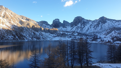 Lake Allos (French Alps), the largest natural high-altitude lake in Europe and one of the two study sites for this research. Credit: Hervé Rogissart In 1924, Arctic charr from Lake Geneva were stocked into Lake Allos; a century later, their descendants showed distinct metabolic responses under identical conditions