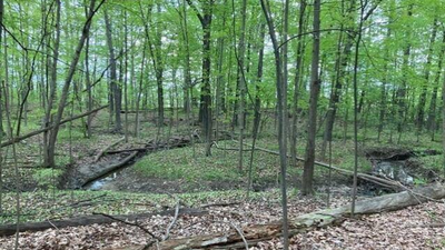 Toll Brothers sued by owner of land surrounded by 107-luxury home project A Michigan woman owns 19 acres between two planned Toll Brothers communities; she is suing over her only access route and a proposed wastewater discharge