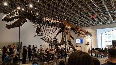 67-million-year-old T. rex fossil 'Gus' sold for record $50.1 million at Sotheby's auction, becomes world's most expensive dinosaur fossil 67-million-year-old T. rex fossil 'Gus' sold for record $50.1 million at Sotheby's auction, becomes world's most expensive dinosaur fossil