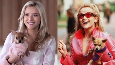 Lexi Minetree on stepping into Reese Witherspoon's iconic pink heels for Elle. Lexi Minetree on stepping into Reese Witherspoon's iconic pink heels for Elle.