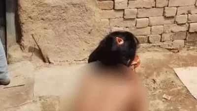 A 30-year-old woman faced brutal public humiliation in Ujjain's Jharda area after resuming a live-in relationship with a man recently released from jail. Woman stripped, paraded with shoe garland by partner’s family in Ujjain; 3 arrested