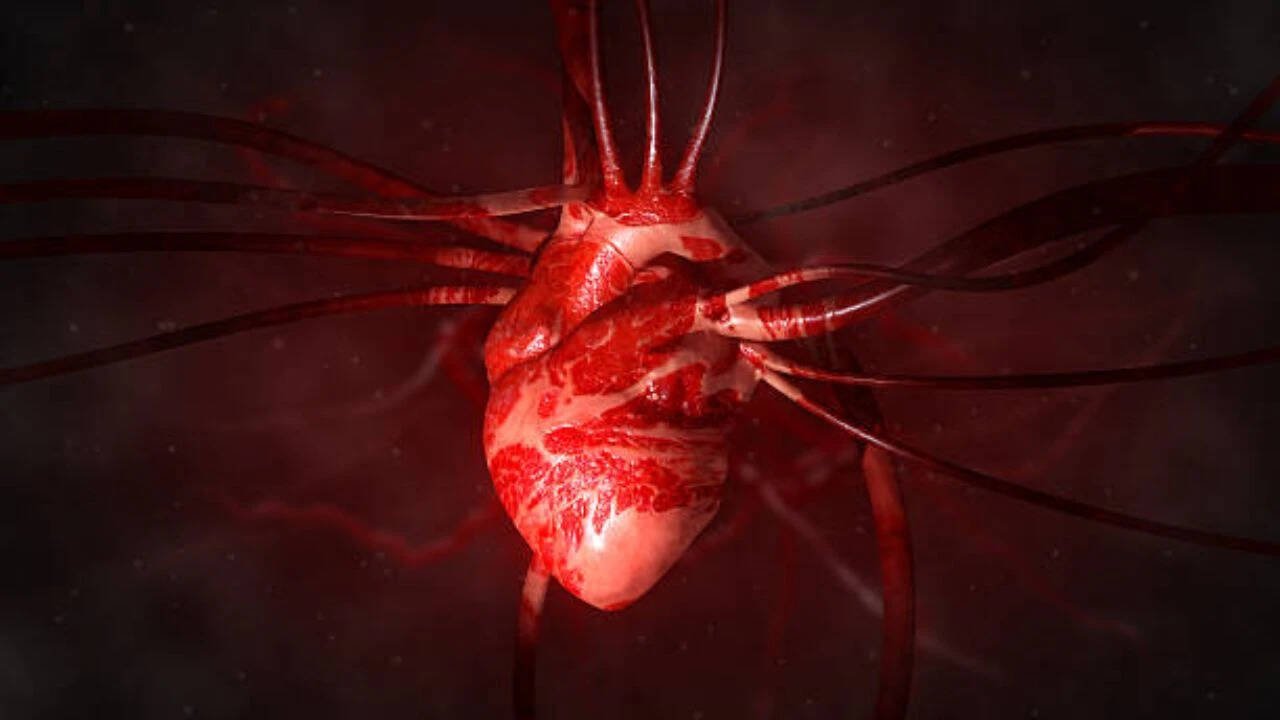 A 'brain' hidden inside the heart<br><br>