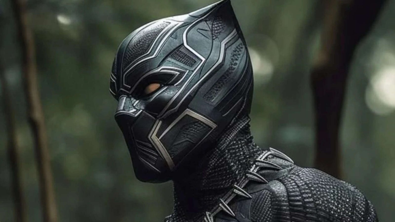 A new chapter begins for the Black Panther legacy