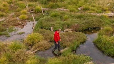 A new waterscape has been created on the Holnicote Estate in Somerset (National Trust photos) Conservationists filled in 1.2km of a man-made river channel and allowed the water to spread naturally; the new Somerset wetland is now attracting rare wildlife