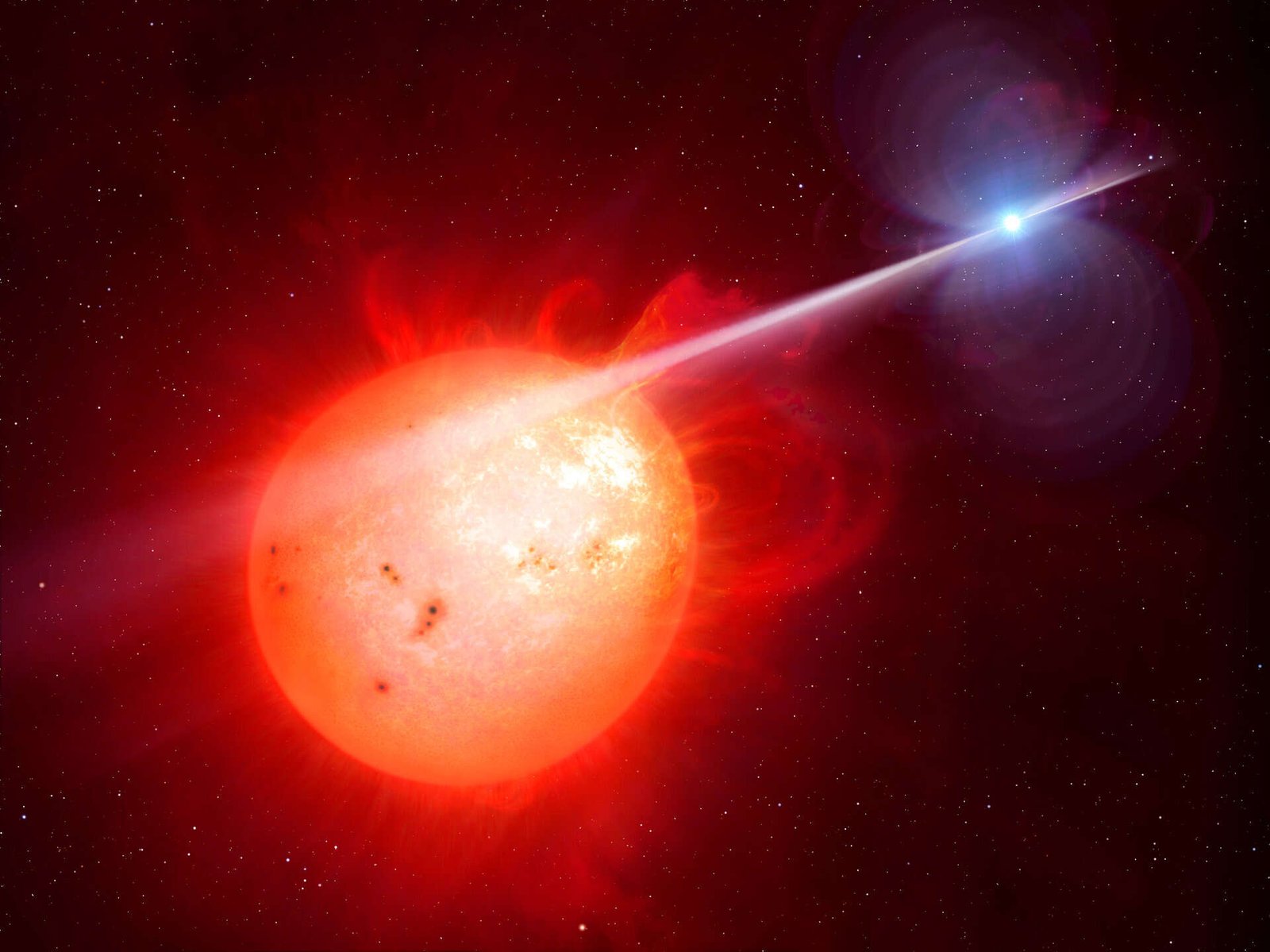 A Red dwarf star and a White dwarf star<br>
