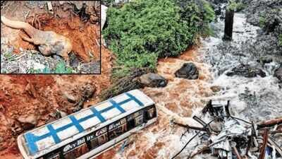'Man-made disaster': Kerala govt blames to 'unscientific dumping' after Wayanad landslip kills 3