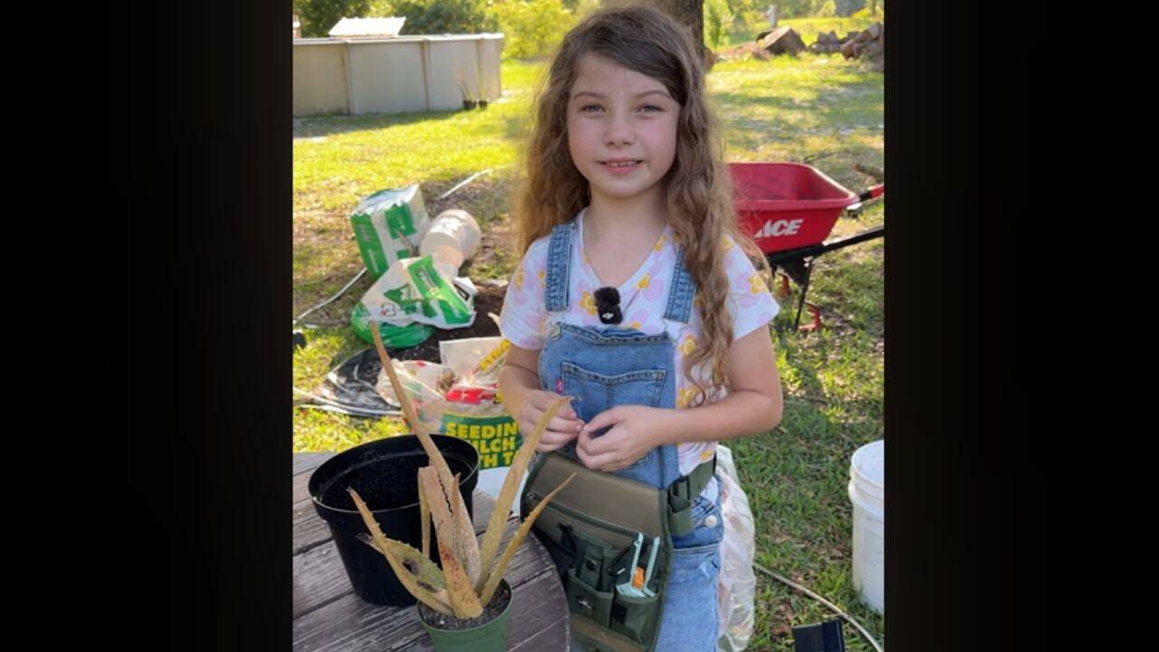 Adelynn is going viral in the USA for her mission of rescuing dying plants and reviving them on her own