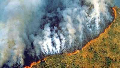Amazon forest fires fell to all-time low in 2025 but could a super El Niño halt progress? Amazon fires peaked during the 2024 drought. A year later, burned area hit its lowest level since records began in 1985