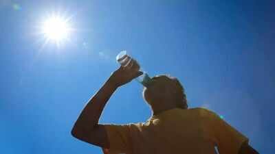 As heat wave sweeps across several states in the US, White House has reportedly deleted thousands of web pages about...