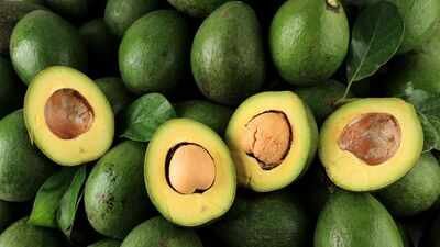 avocado America allowed avocados from across Mexico under stricter inspection rules in 2016; farmers reduced routine chemical use and nearby nitrogen pollution fell about 10%