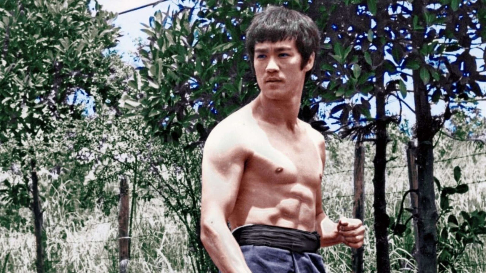 Bruce Lee honoured with commemorative USPS stamp in 2026