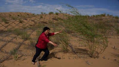 For nearly 50 years, China has placed straw grids across its deserts; desertified land is now shrinking by over 1,000 sq km a year, but scientists say the fight is far from over