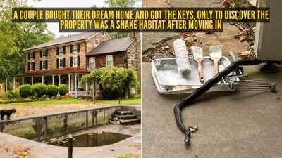 Image Credit: SYMMETRY CO. PHOTOGRAPHY; Lauren Bouldin via X/ People A couple bought their dream home and got the keys, only to discover the property was a snake habitat after moving in