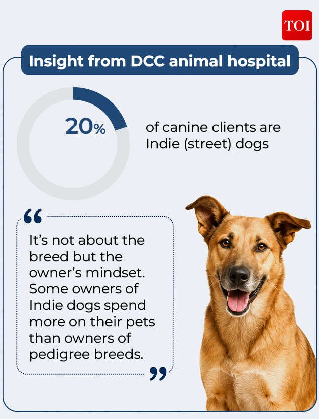 DCC Animal Hospital
