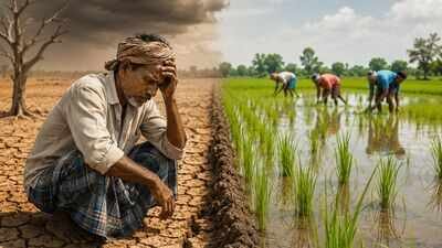 Delayed monsoon rains have slowed Telangana's farm activity to its lowest levels (AI image used for representational purpose only) Crops wait as monsoon plays truant in Telangana