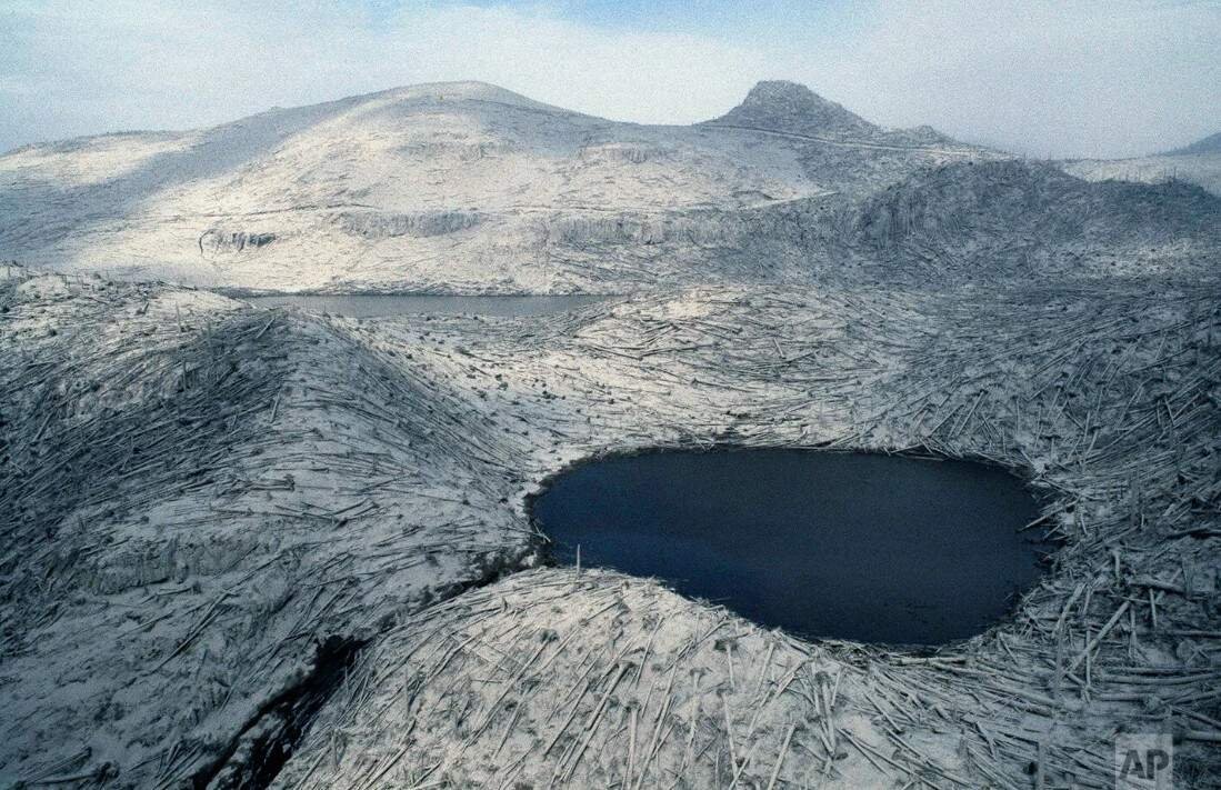 Denuded trees lay like matchsticks in the changed landscape around Mount St. Helens, Wash., shown two days after eruption