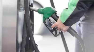 Petroleum ministry clarifies ethanol programme amid debate E20 costlier to produce than pure petrol: Government