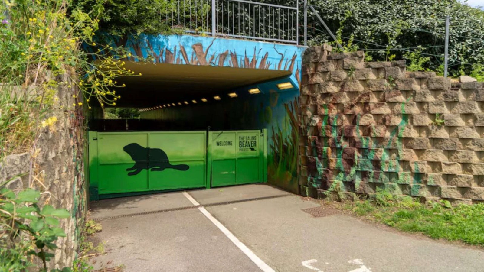 Ealing welcomes beavers<br><br>